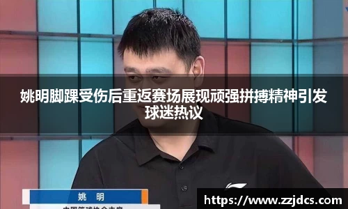 球信网